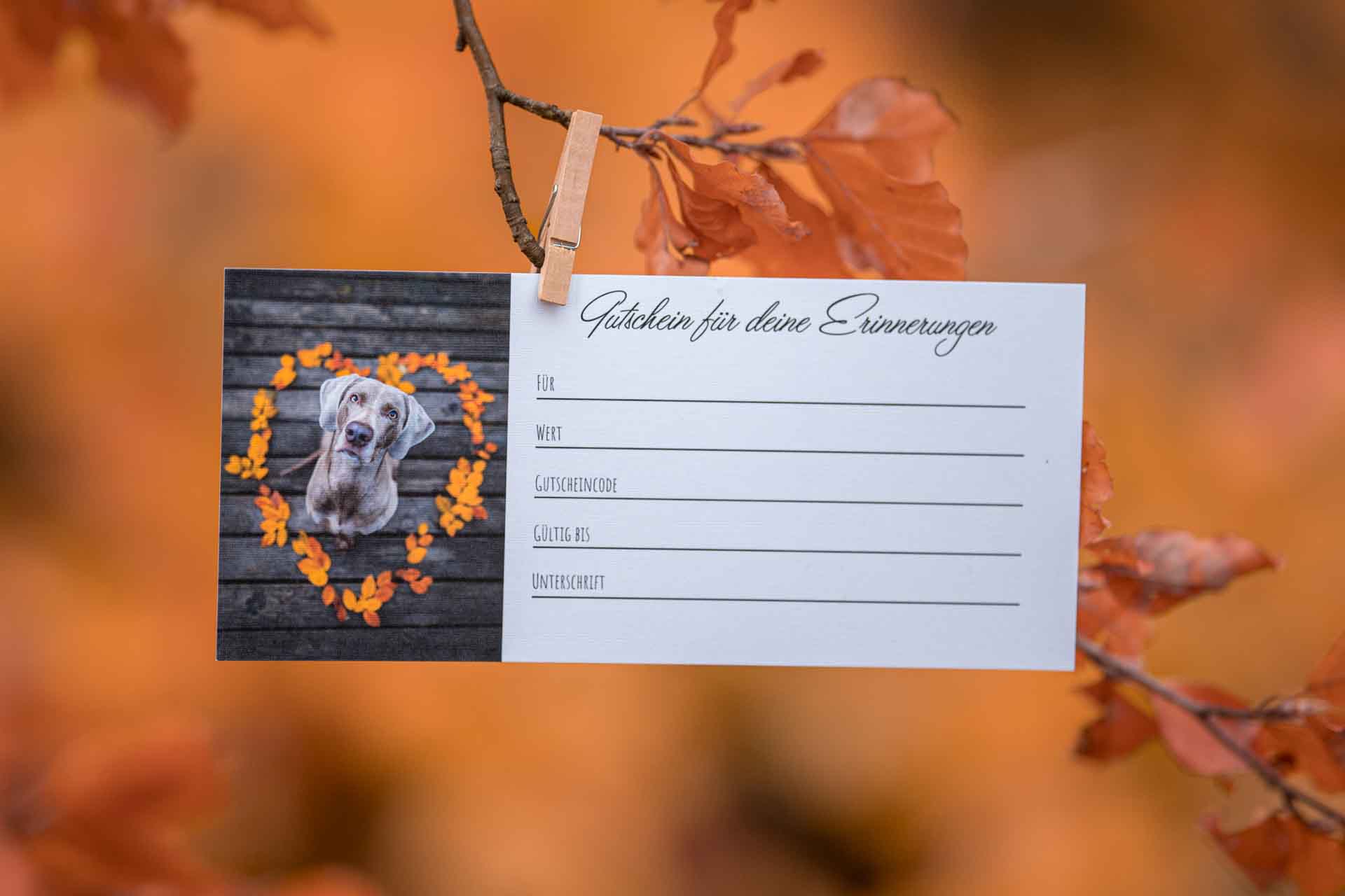 Gutschein Bild