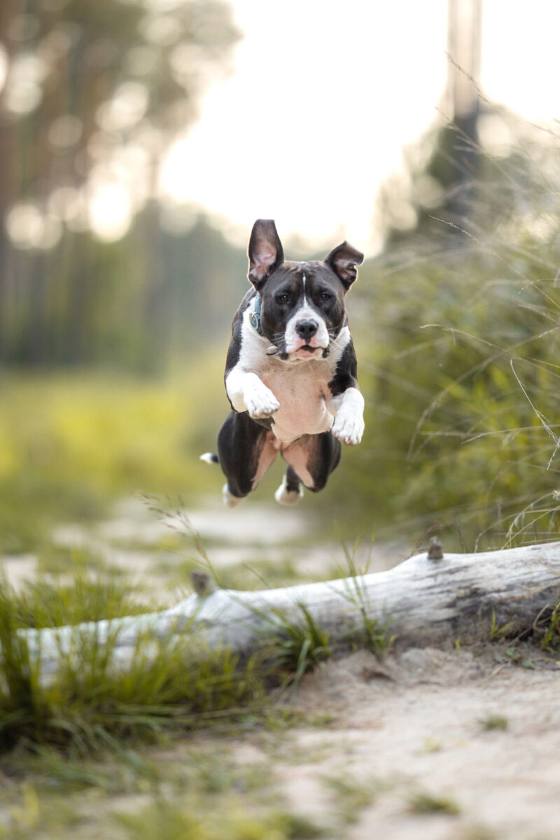 49 - 035A2576-Verbessert-SR