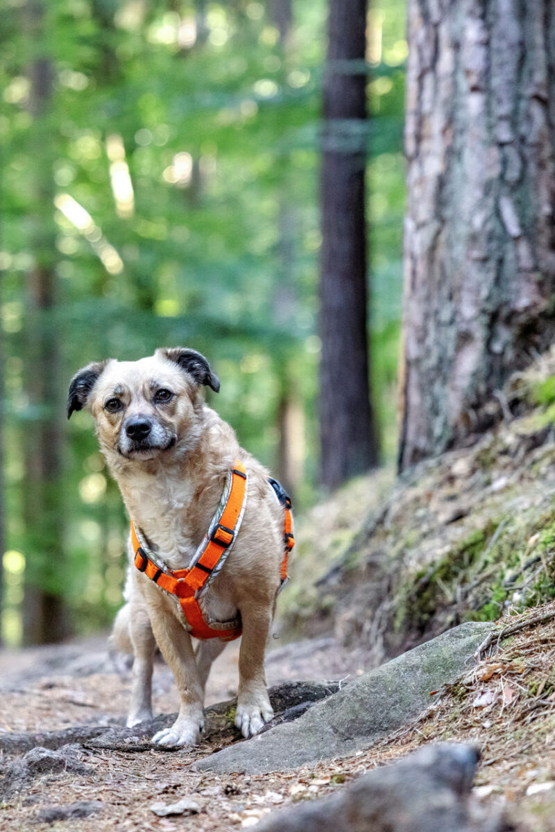 173 - 171 - 035A5048-Bearbeitet