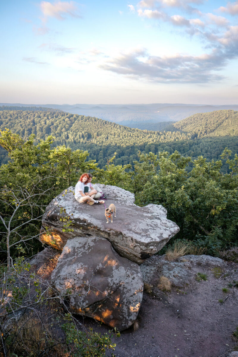 31 - 29 - 035A1708-Bearbeitet