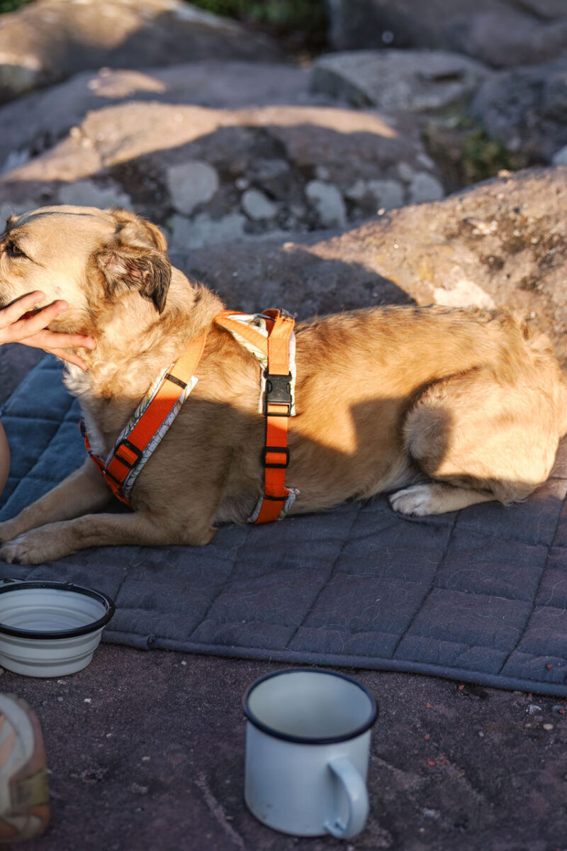 46 - 43 - 035A1895-Bearbeitet