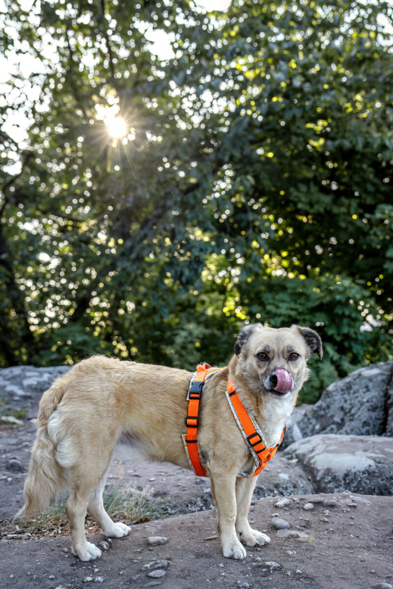 93 - 90 - 035A3067-Bearbeitet