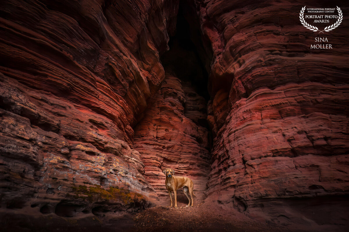 2025 Portrait Photo Awards