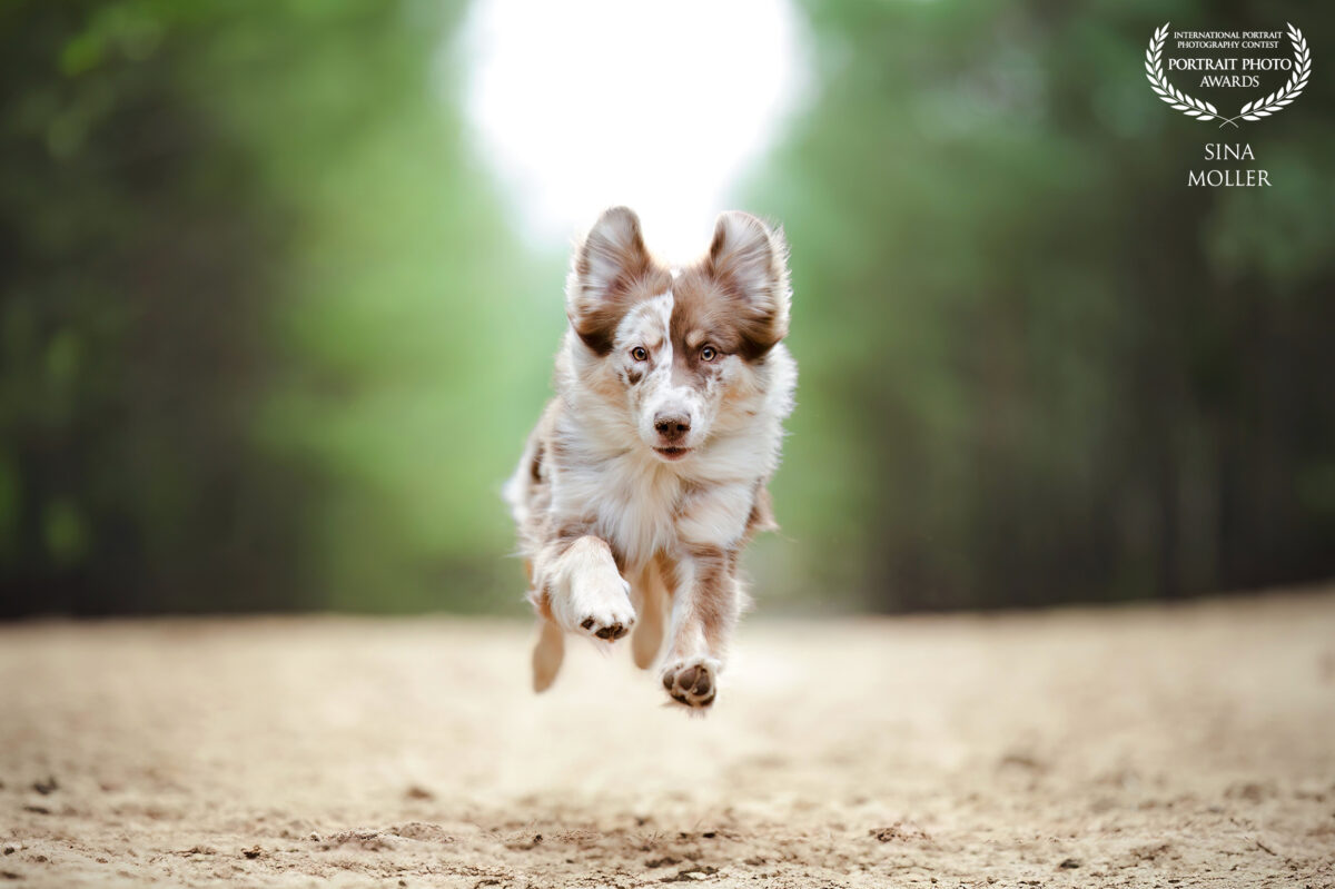 2025 Portrait Photo Awards