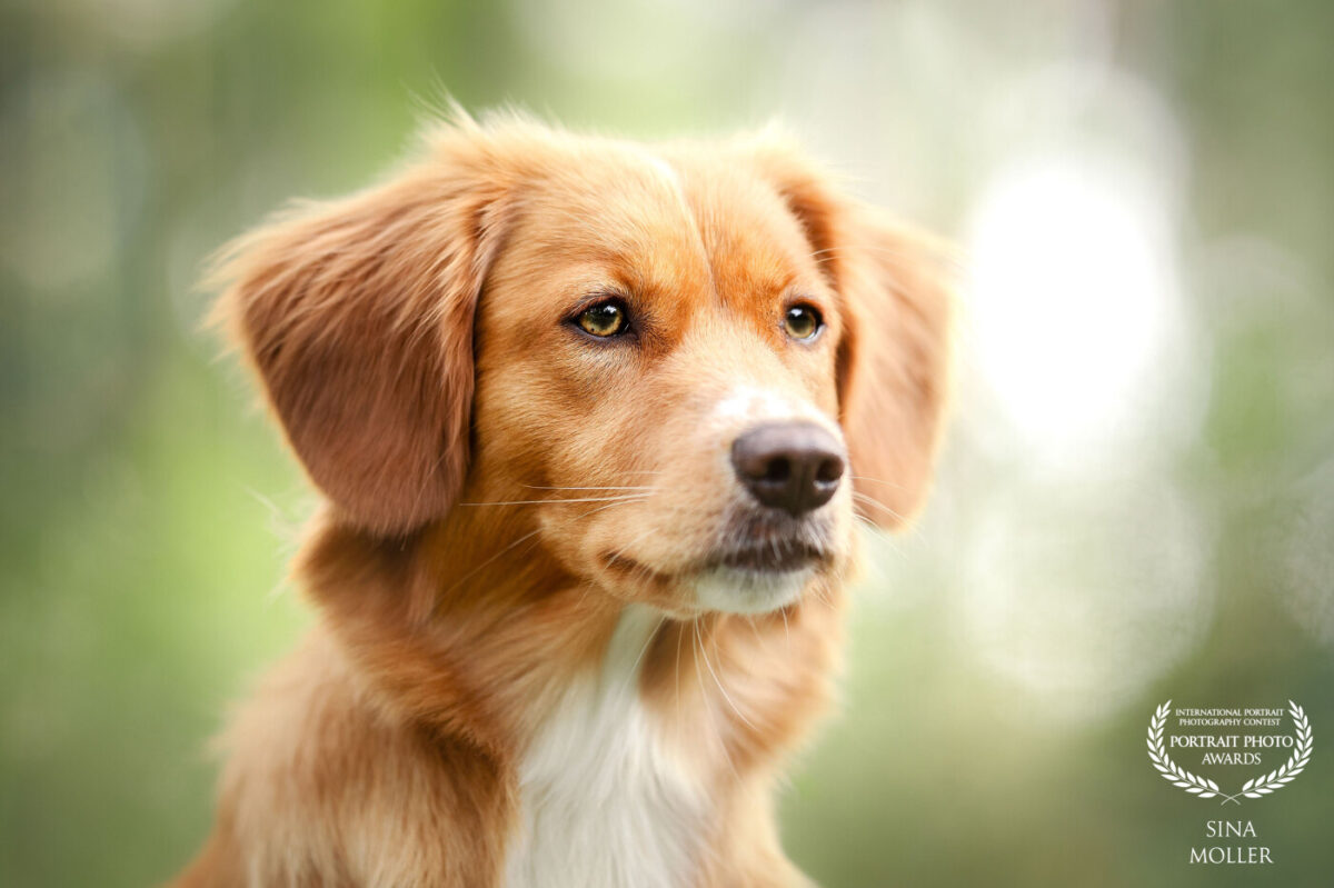 2025 Portrait Photo Awards