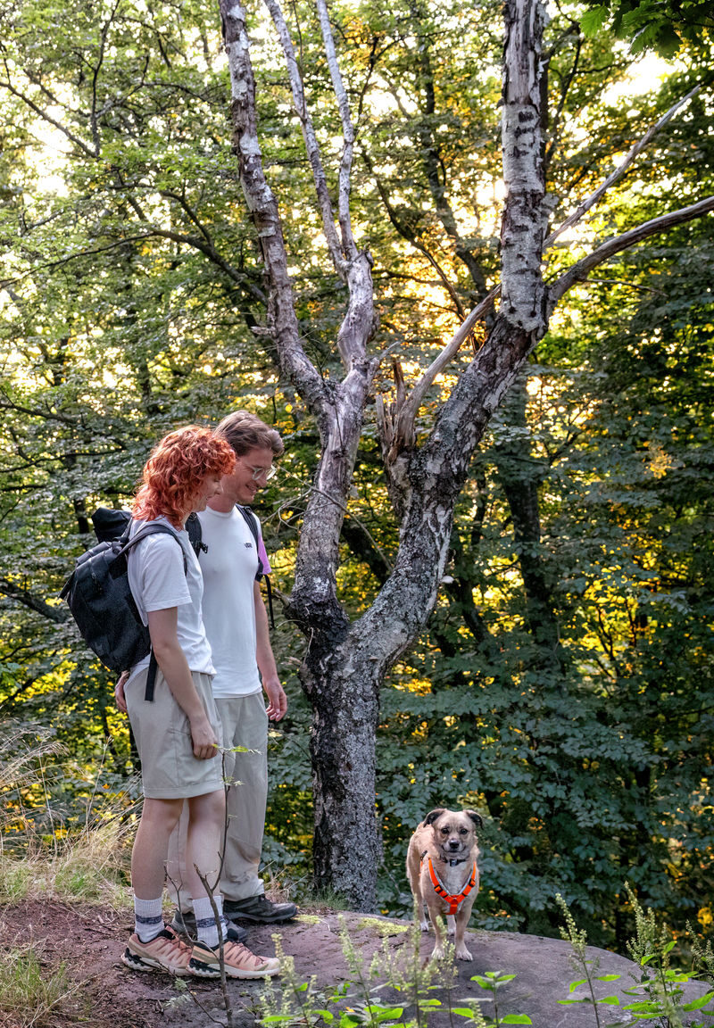 10 - 9 - 035A1325-Bearbeitet-2