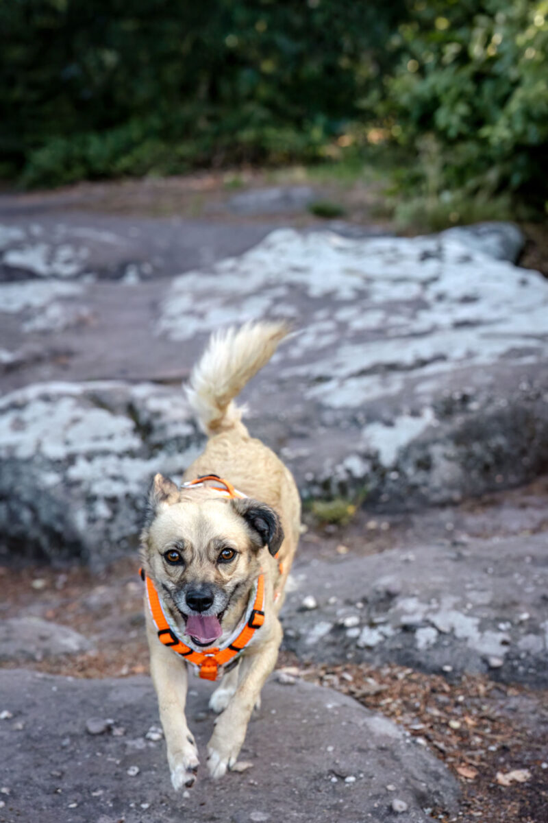 107 - 104 - 035A3324-Bearbeitet