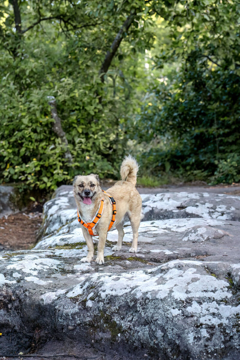 112 - 109 - 035A3421-Bearbeitet