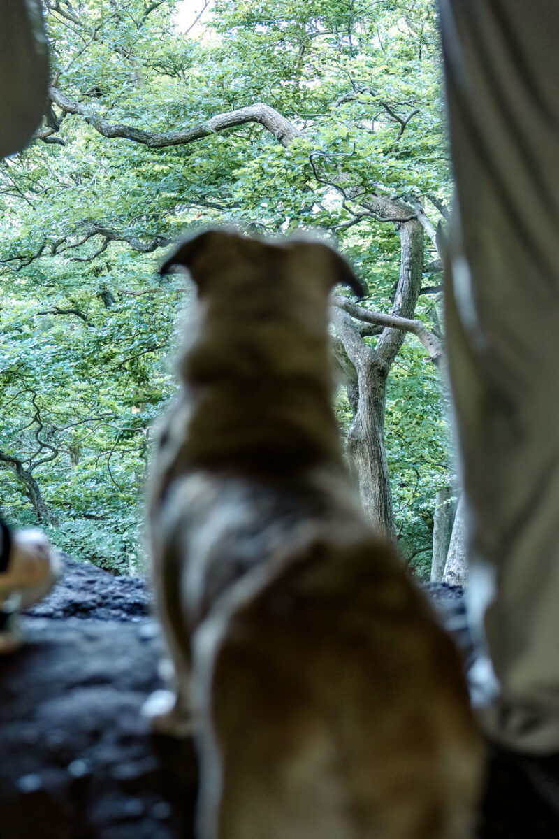 116 - 113 - 035A3548-Bearbeitet