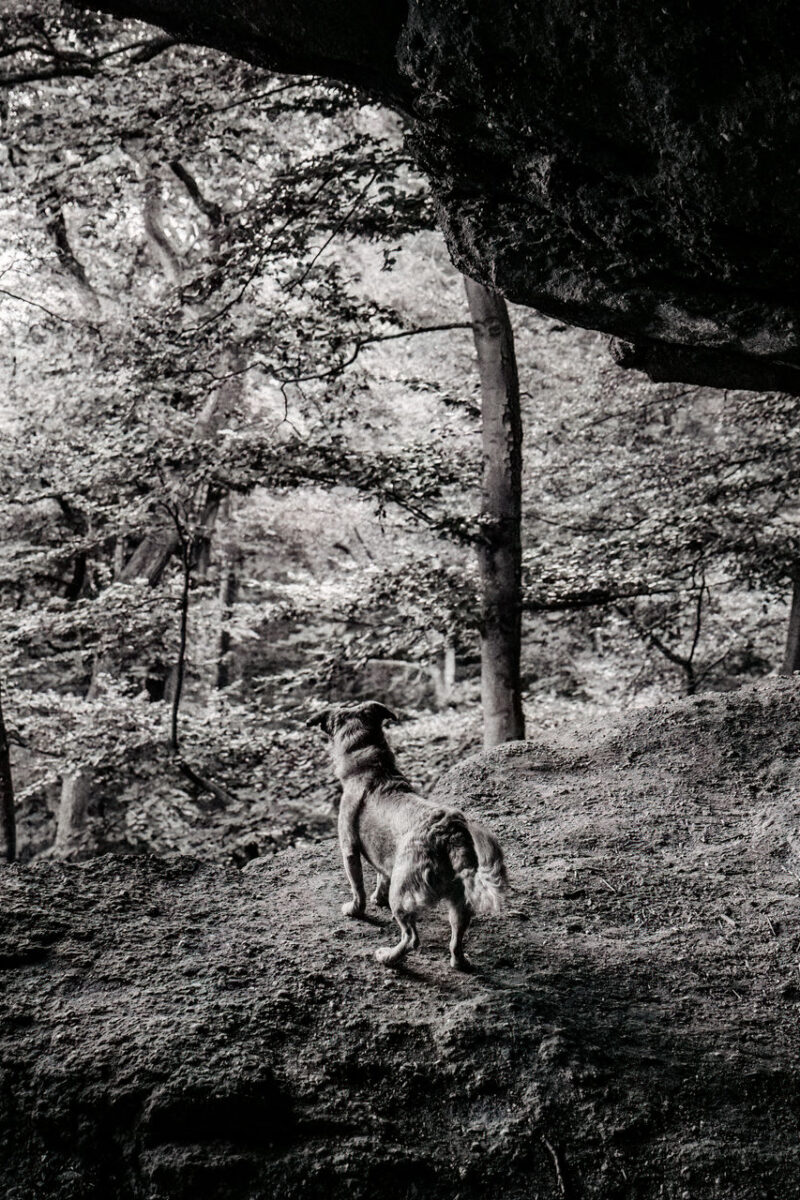 117 - 114 - 035A3572-Bearbeitet