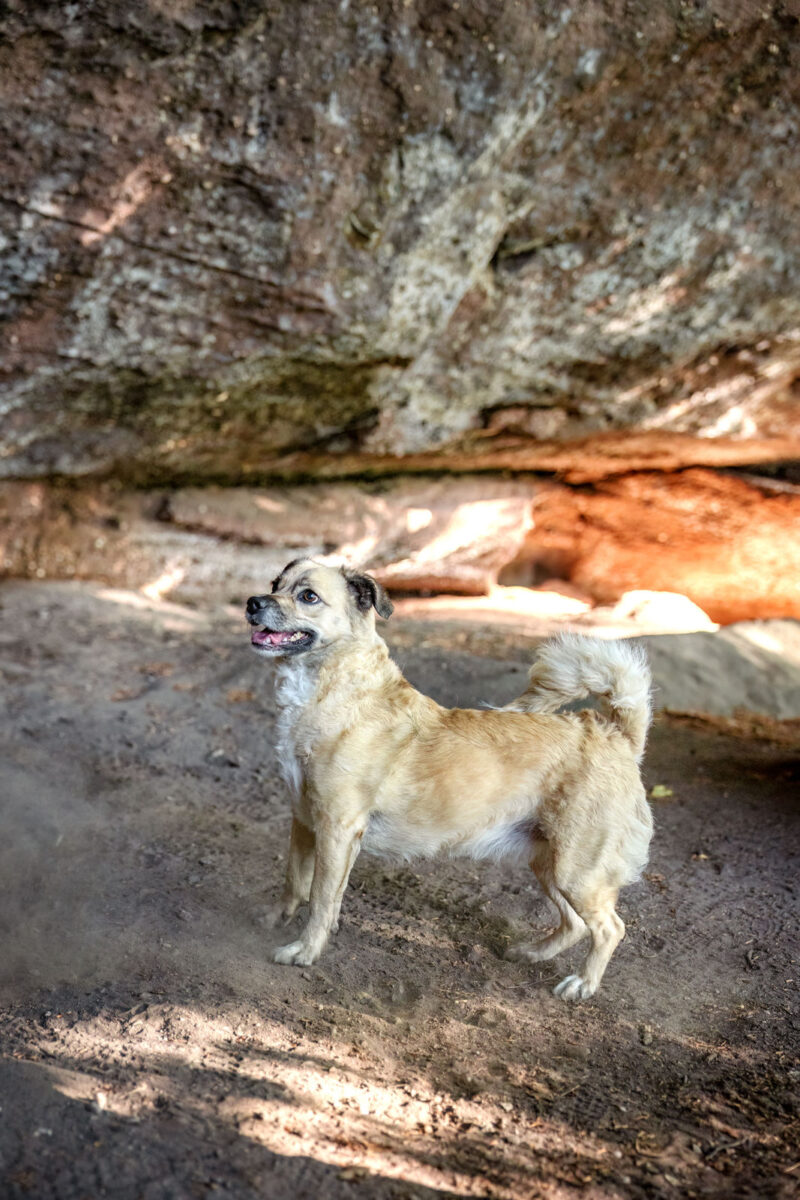 119 - 116 - 035A3591-Bearbeitet