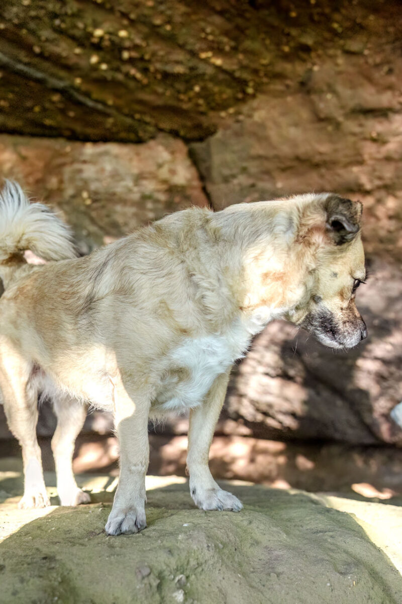 121 - 118 - 035A3629-Bearbeitet