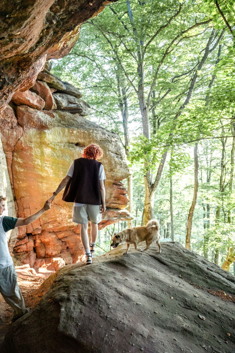 123 - 120 - 035A3657-Bearbeitet