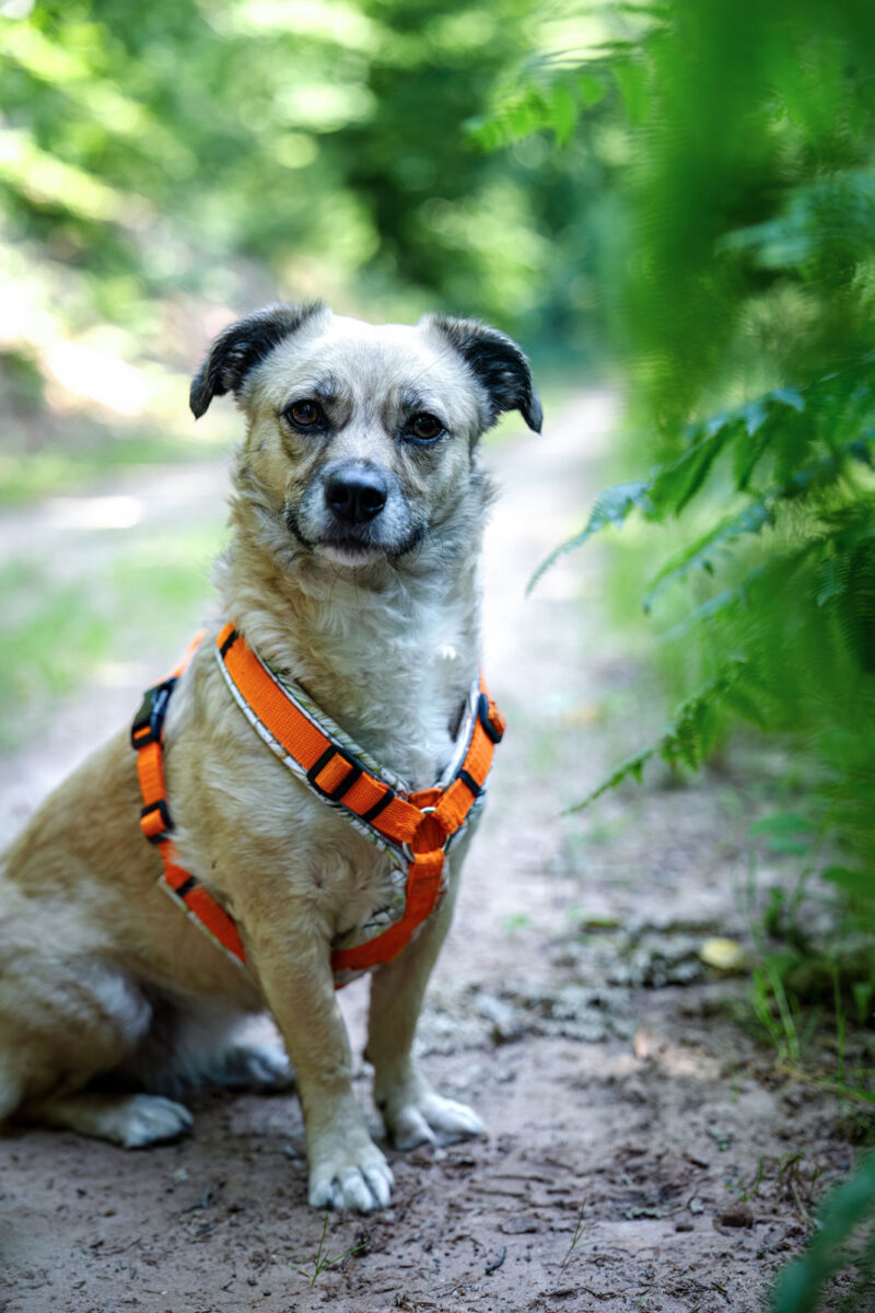 142 - 139 - 035A4412-Bearbeitet