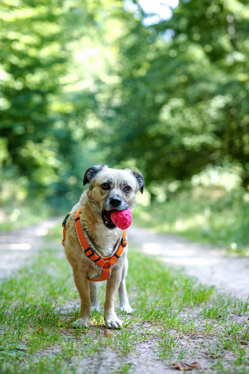 143 - 140 - 035A4426-Bearbeitet