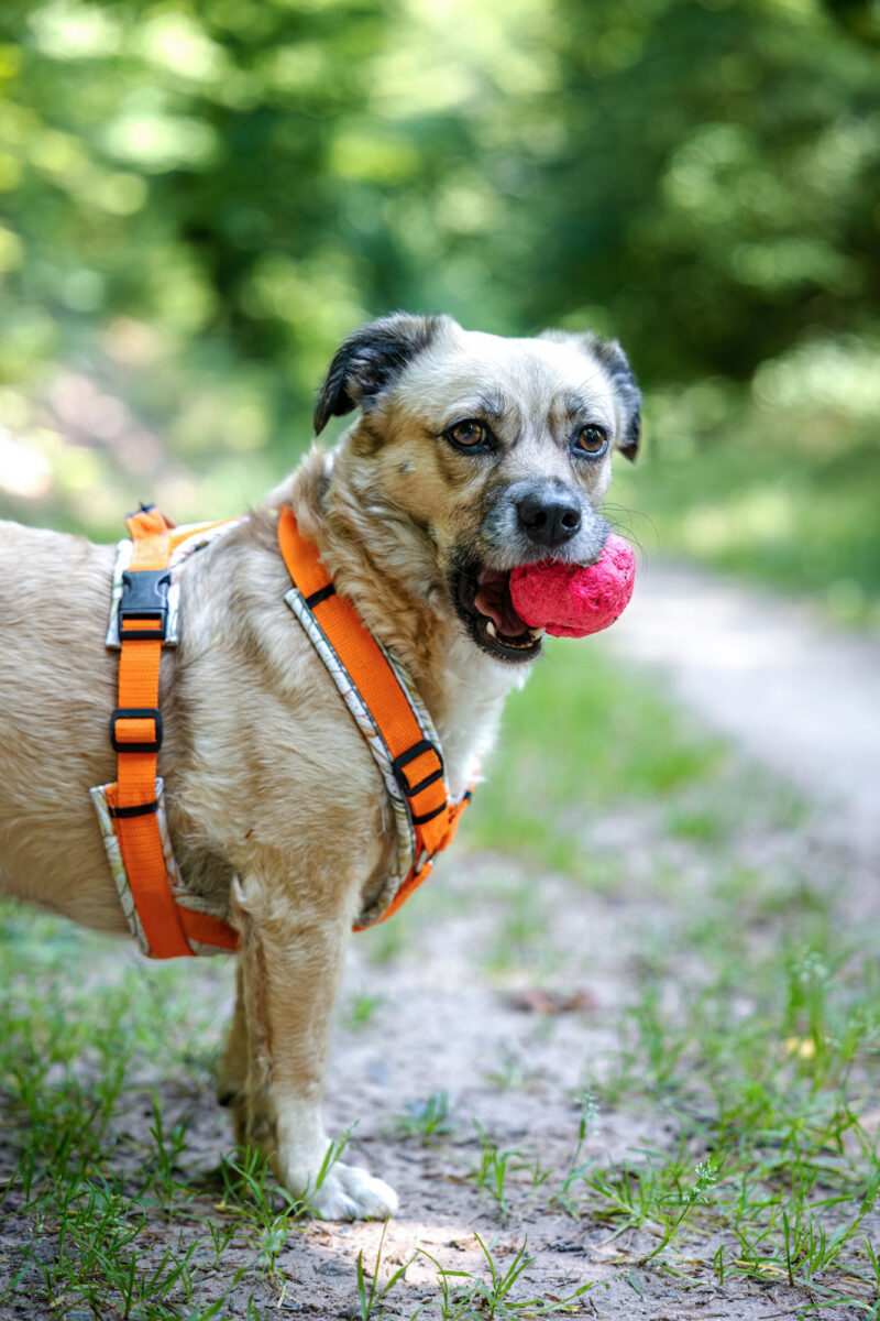 144 - 141 - 035A4446-Bearbeitet