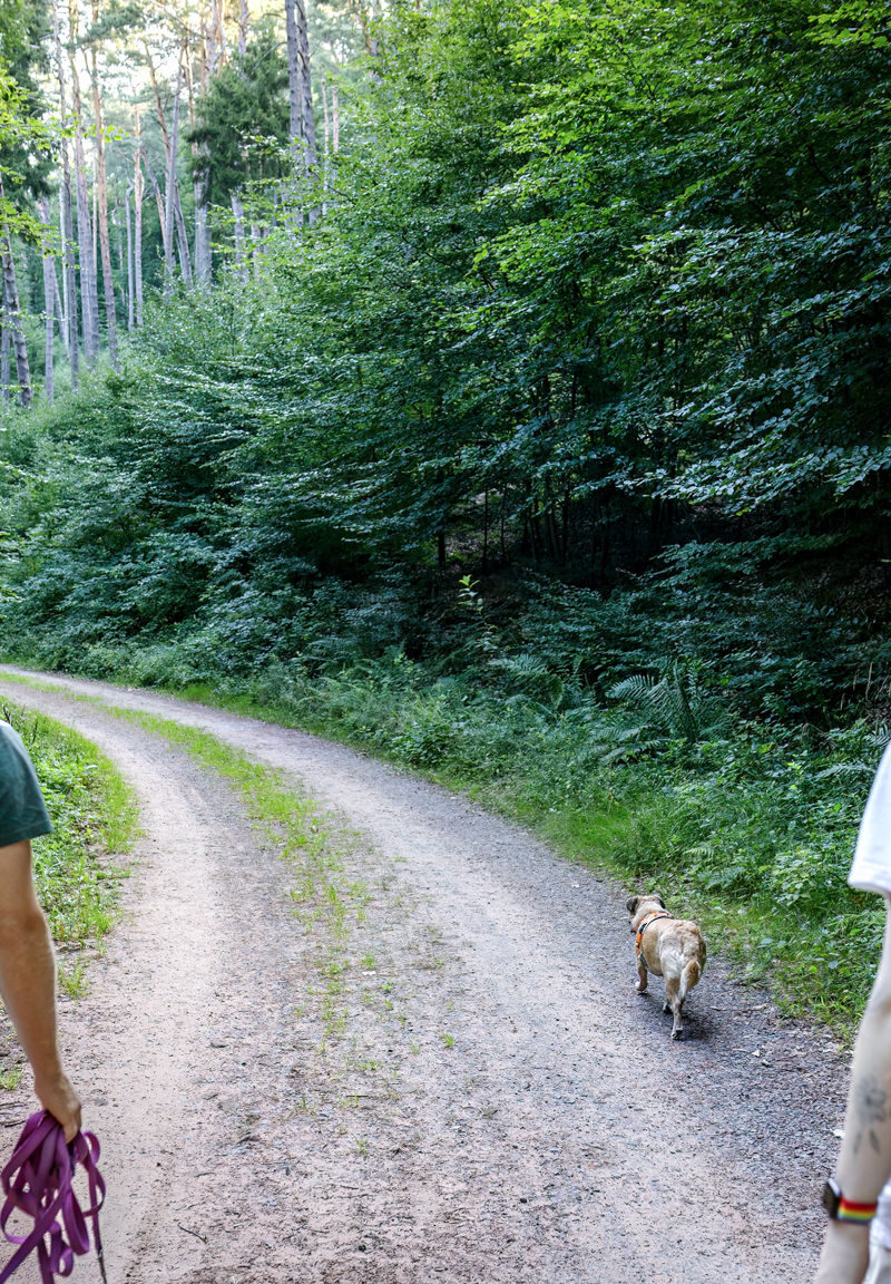 145 - 143 - 035A4479-Bearbeitet