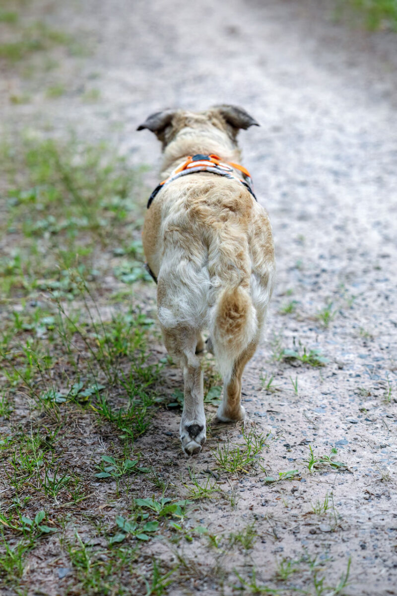 149 - 147 - 035A4547-Bearbeitet