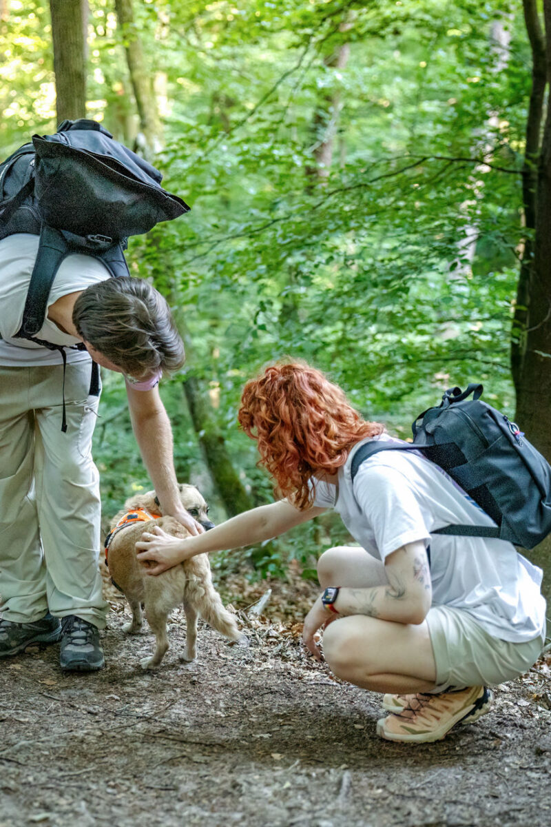 154 - 152 - 035A4665-Bearbeitet