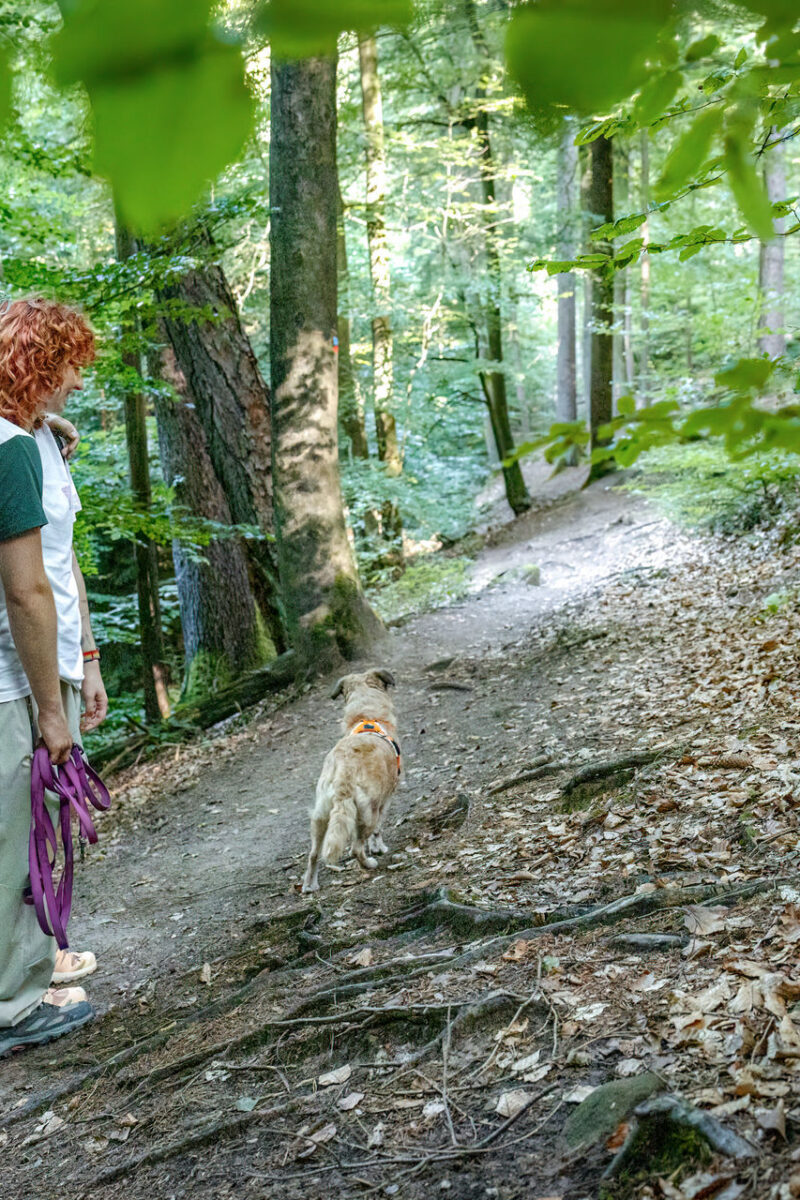 159 - 157 - 035A4814-Bearbeitet