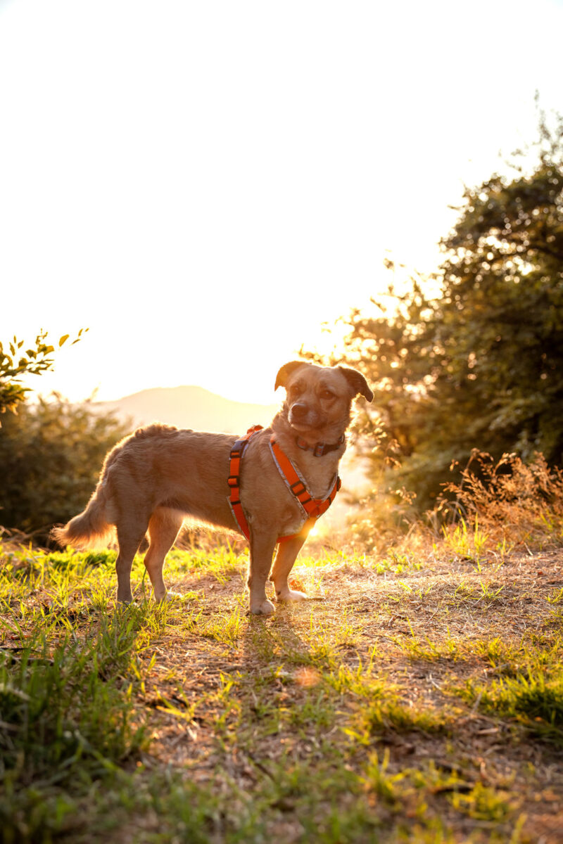 16 - 15 - 035A1482-Bearbeitet-2