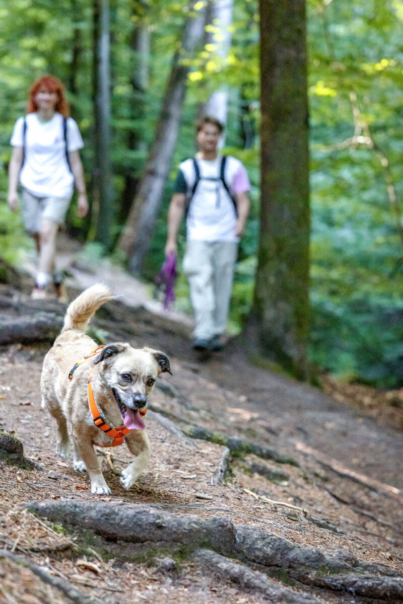 161 - 159 - 035A4843-Bearbeitet