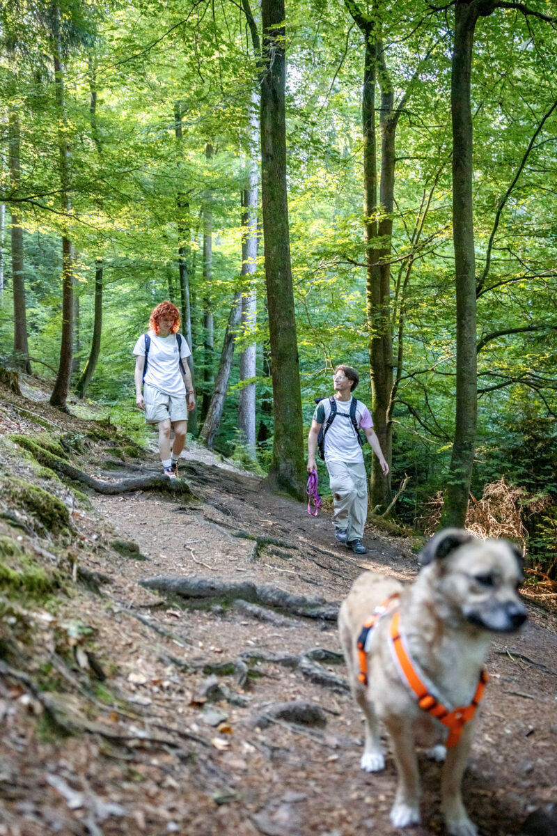 163 - 161 - 035A4869-Bearbeitet