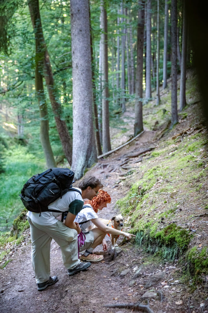 166 - 164 - 035A4974-Bearbeitet