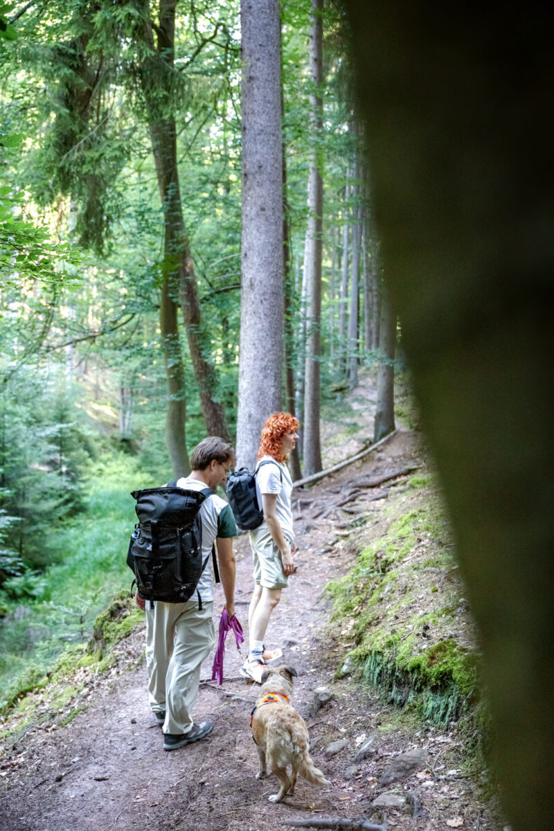 168 - 166 - 035A5002-Bearbeitet