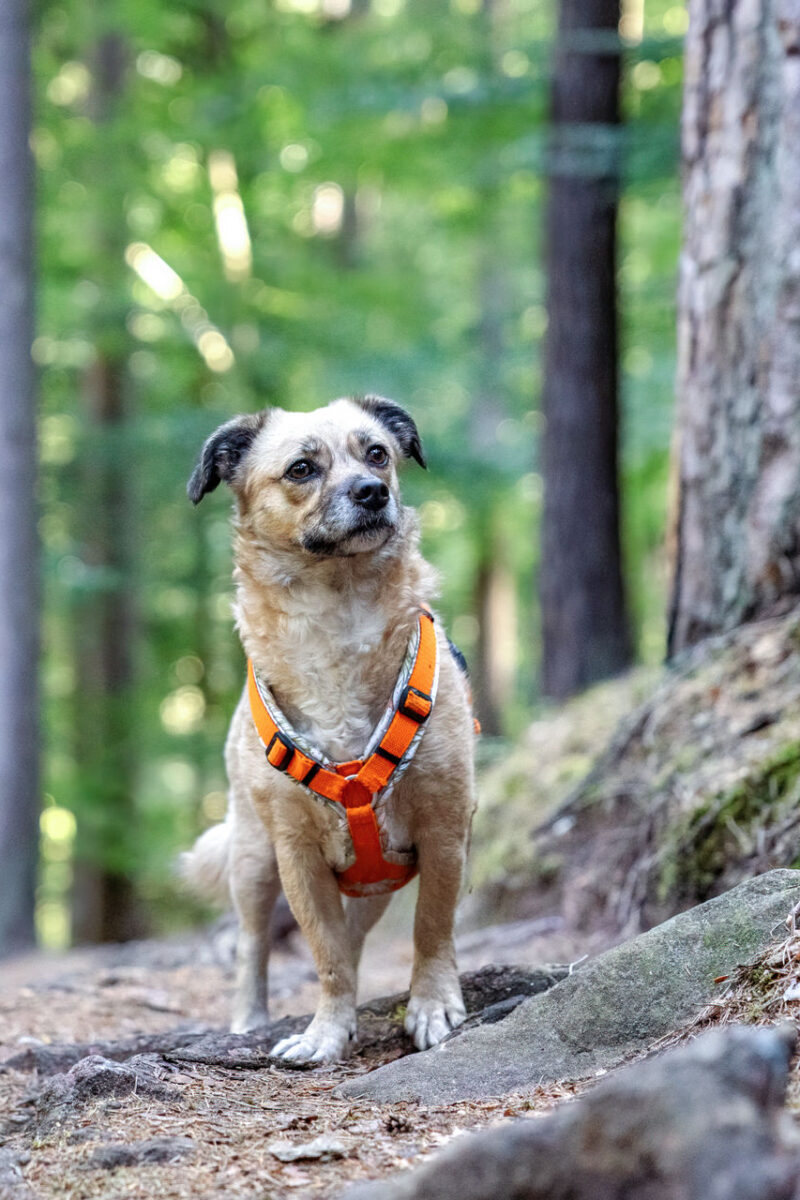 169 - 167 - 035A5013-Bearbeitet