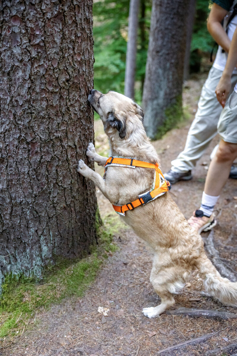 175 - 173 - 035A5129-Bearbeitet