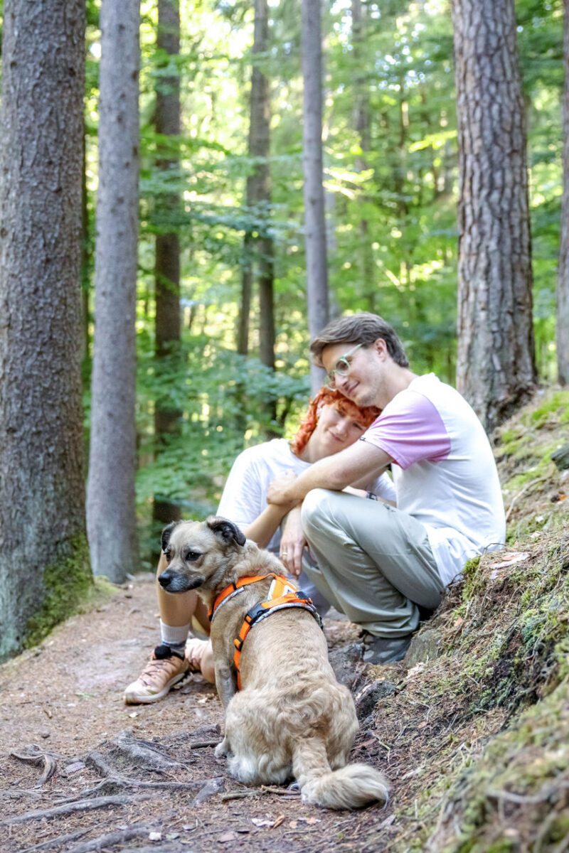 196 - 194 - 035A5406-Bearbeitet