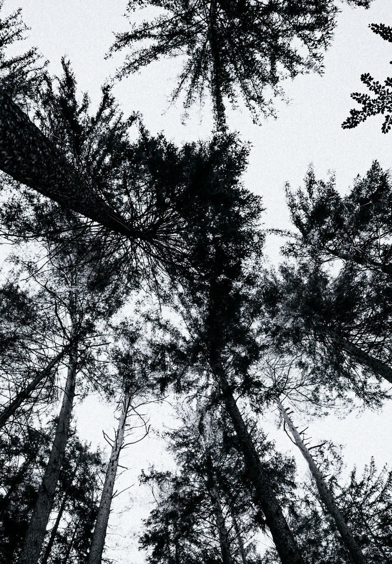 203 - 201 - 035A5507-Bearbeitet