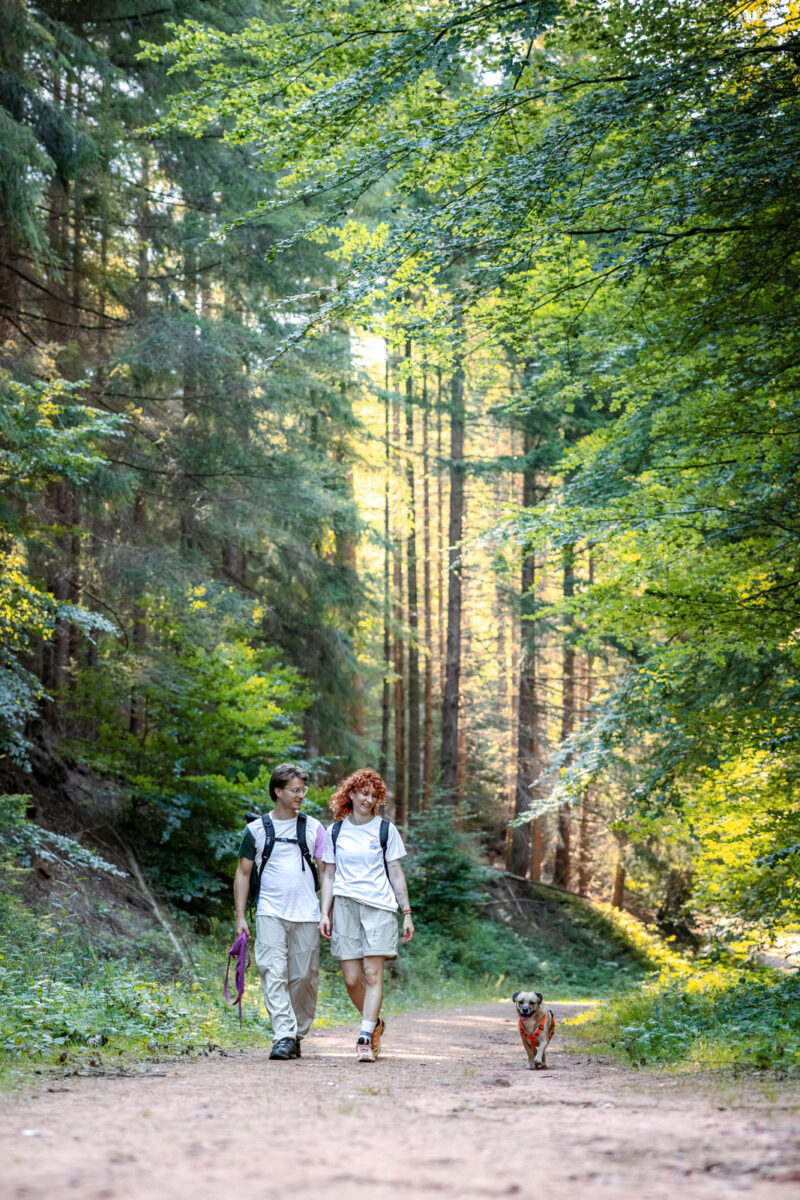 205 - 203 - 035A5545-Bearbeitet