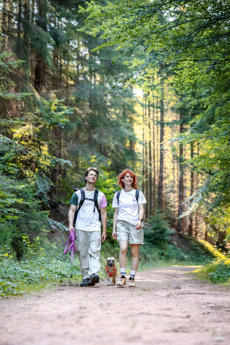 207 - 205 - 035A5568-Bearbeitet