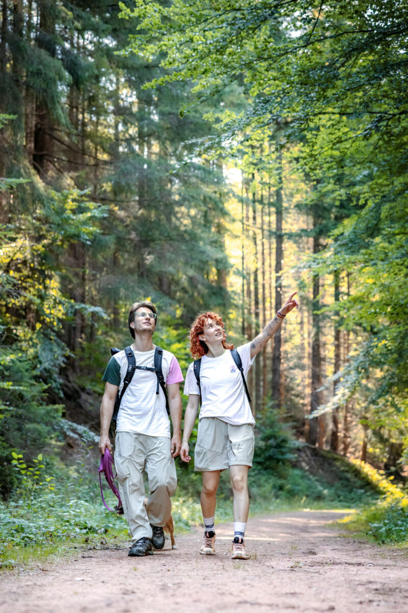 208 - 206 - 035A5589-Bearbeitet