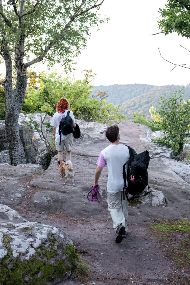 21 - 20 - 035A1584-Bearbeitet-2