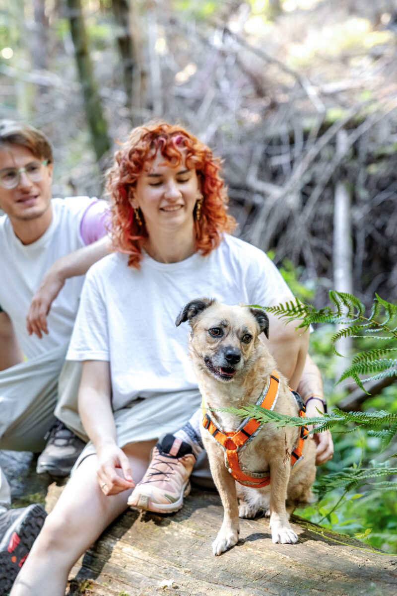 213 - 211 - 035A5685-Bearbeitet