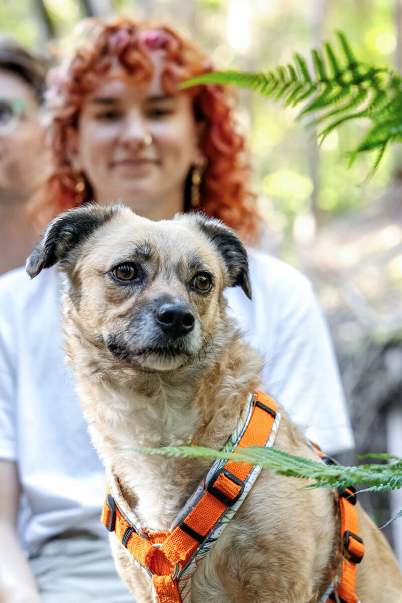 215 - 213 - 035A5731-Bearbeitet