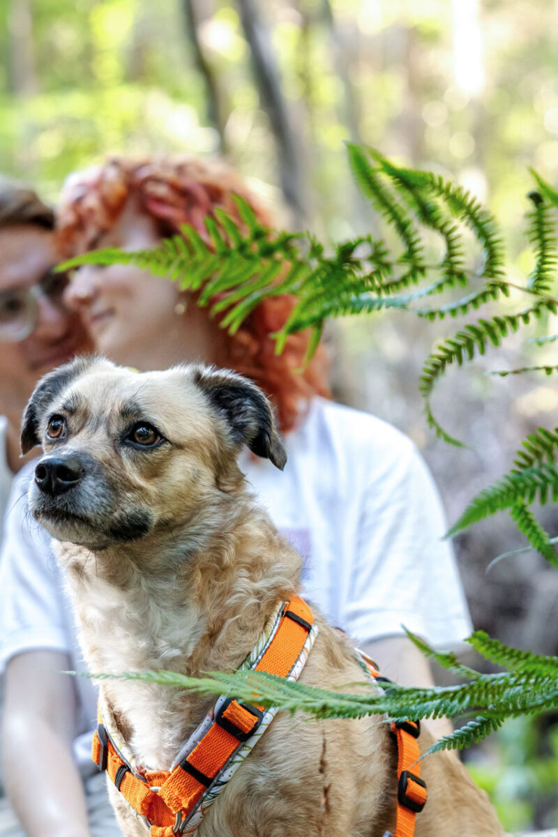 216 - 214 - 035A5745-Bearbeitet