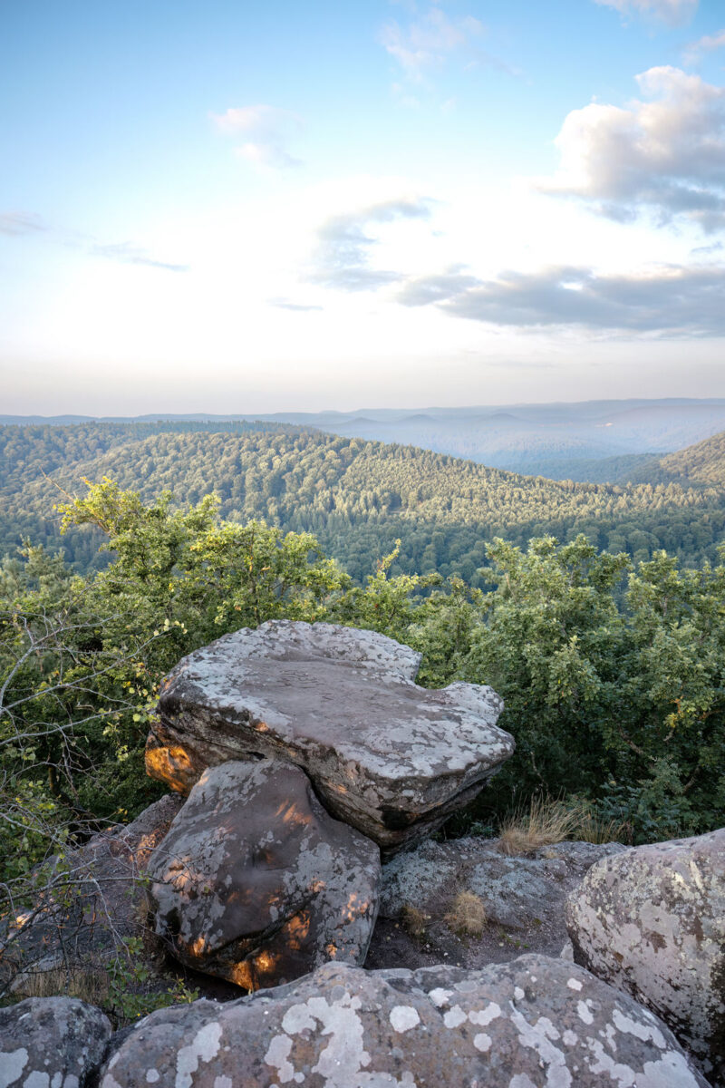 23 - 22 - 035A1609-Bearbeitet