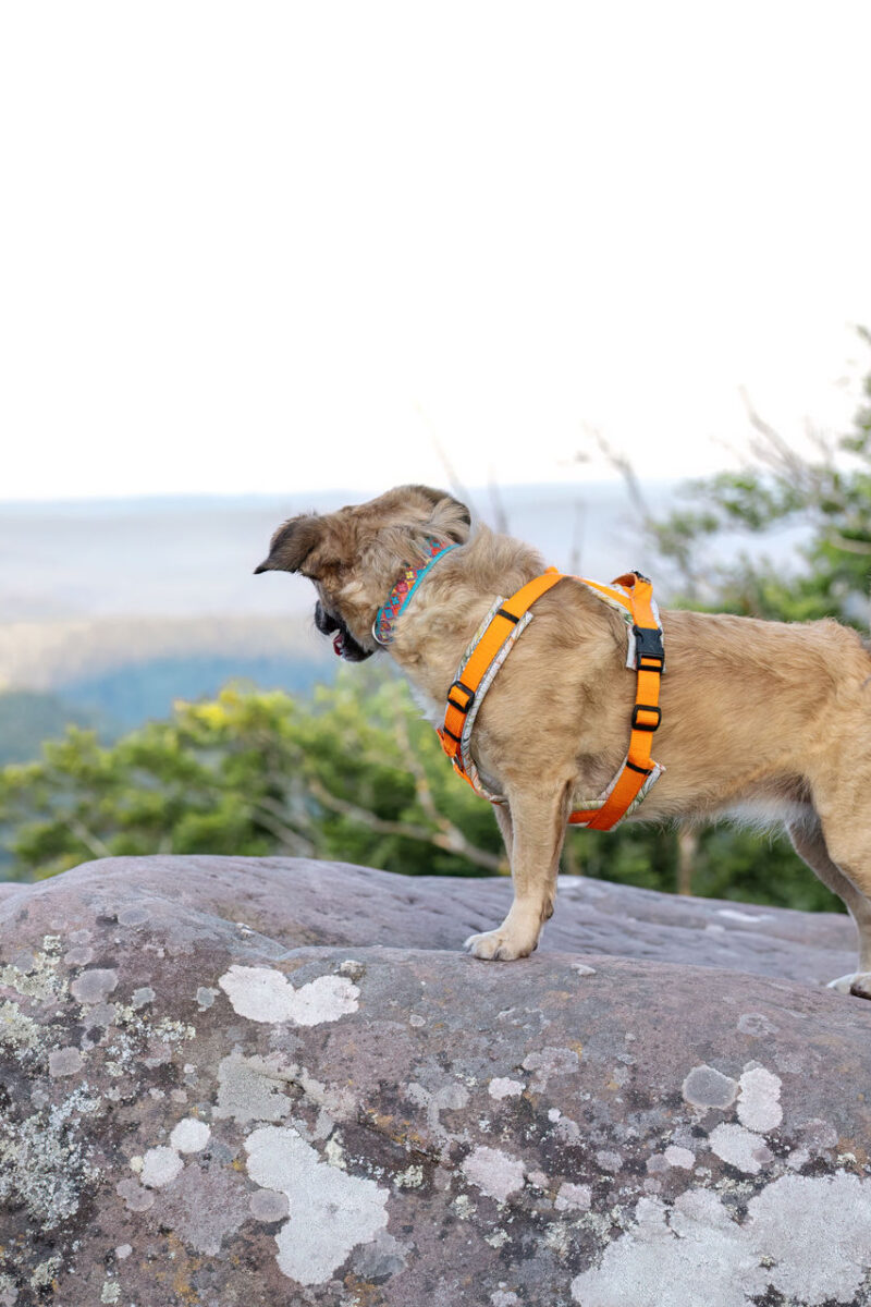 24 - 23 - 035A1610-Bearbeitet