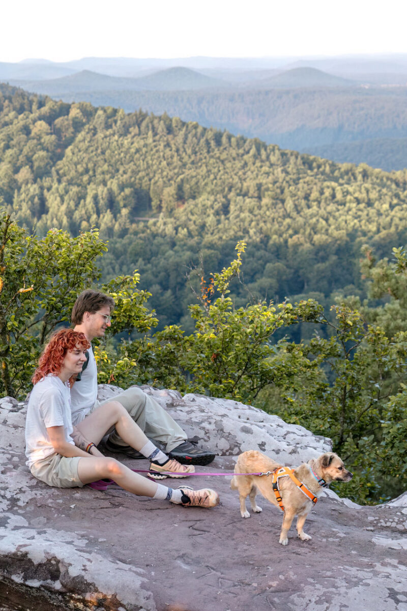 27 - 25 - 035A1642-Bearbeitet