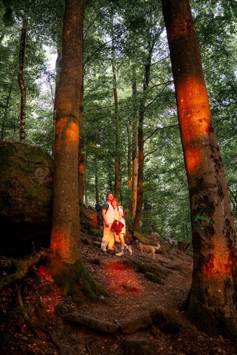 3 - 2 - 035A1109-Bearbeitet-2