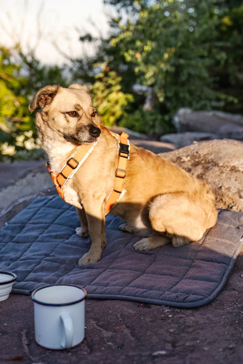 45 - 42 - 035A1874-Bearbeitet