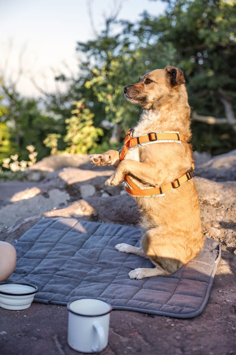 48 - 45 - 035A1928-Bearbeitet