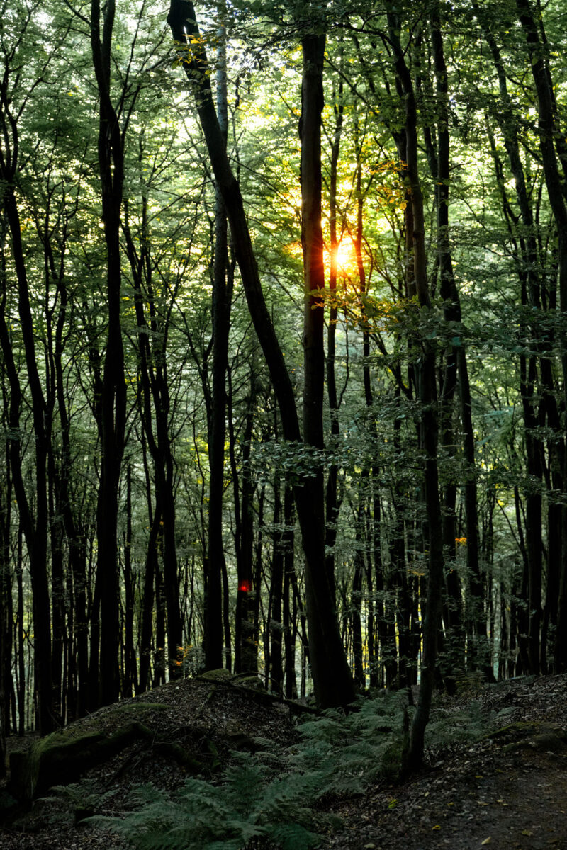 5 - 4 - 035A1132-Bearbeitet-2