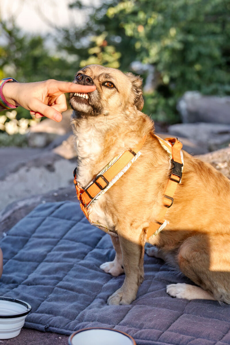 50 - 47 - 035A1972-Bearbeitet