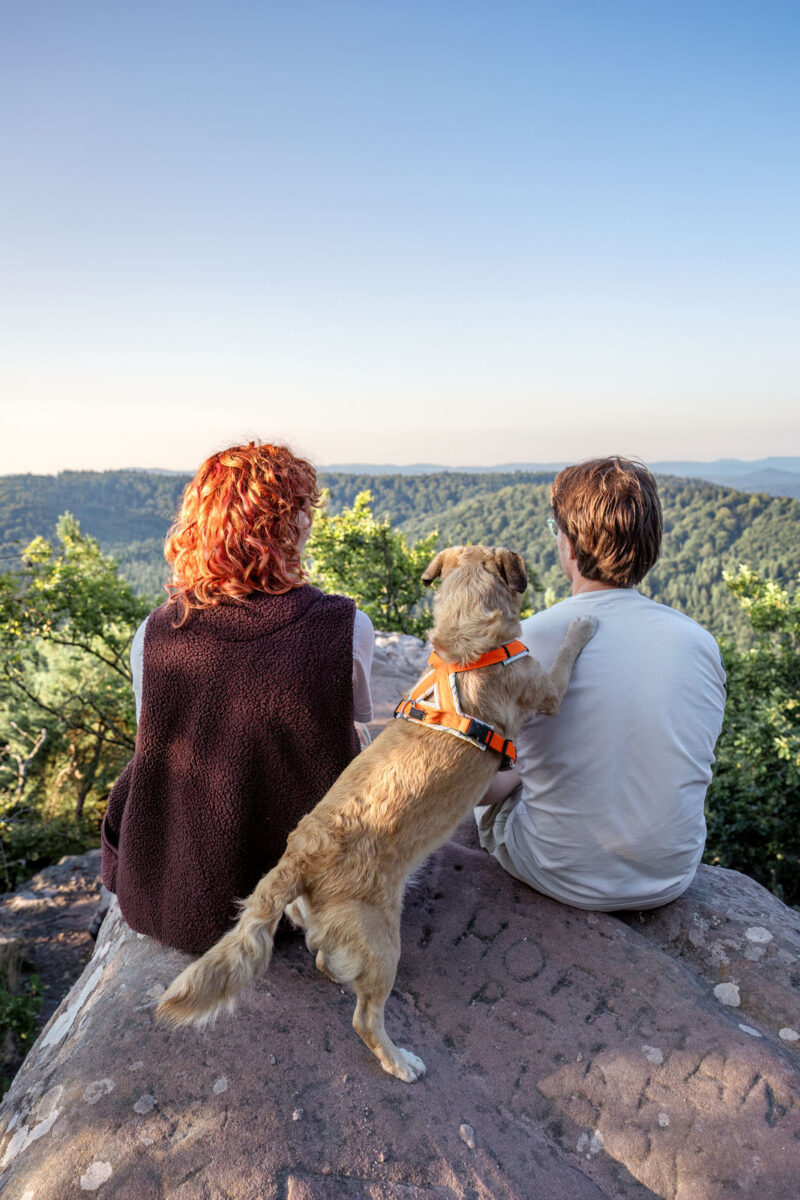 64 - 61 - 035A2524-Bearbeitet