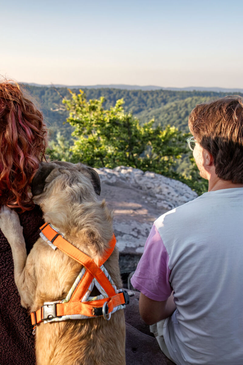 65 - 62 - 035A2550-Bearbeitet